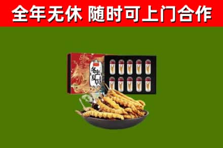 明光市烟酒回收冬虫夏草礼盒.jpg